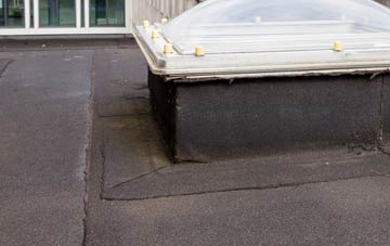 disadvantages of Sluggans flat roofs