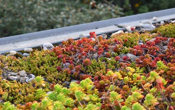 the cost of Sluggans green roof installation