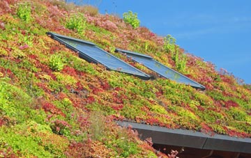 Sluggans living roof systems