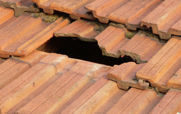 roof repair Sluggans, Highland