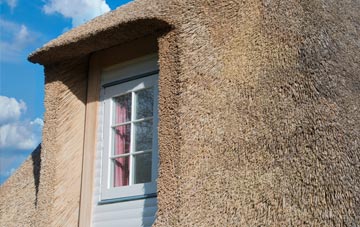 Sluggans thatch roof disadvantages
