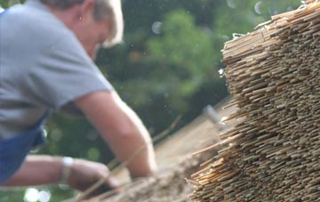 professional Sluggans thatchers