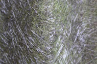 Sluggans fibreglass roof work