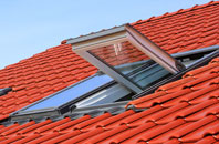 Sluggans roof window
