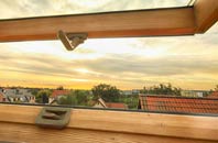 rated Sluggans roof window companies